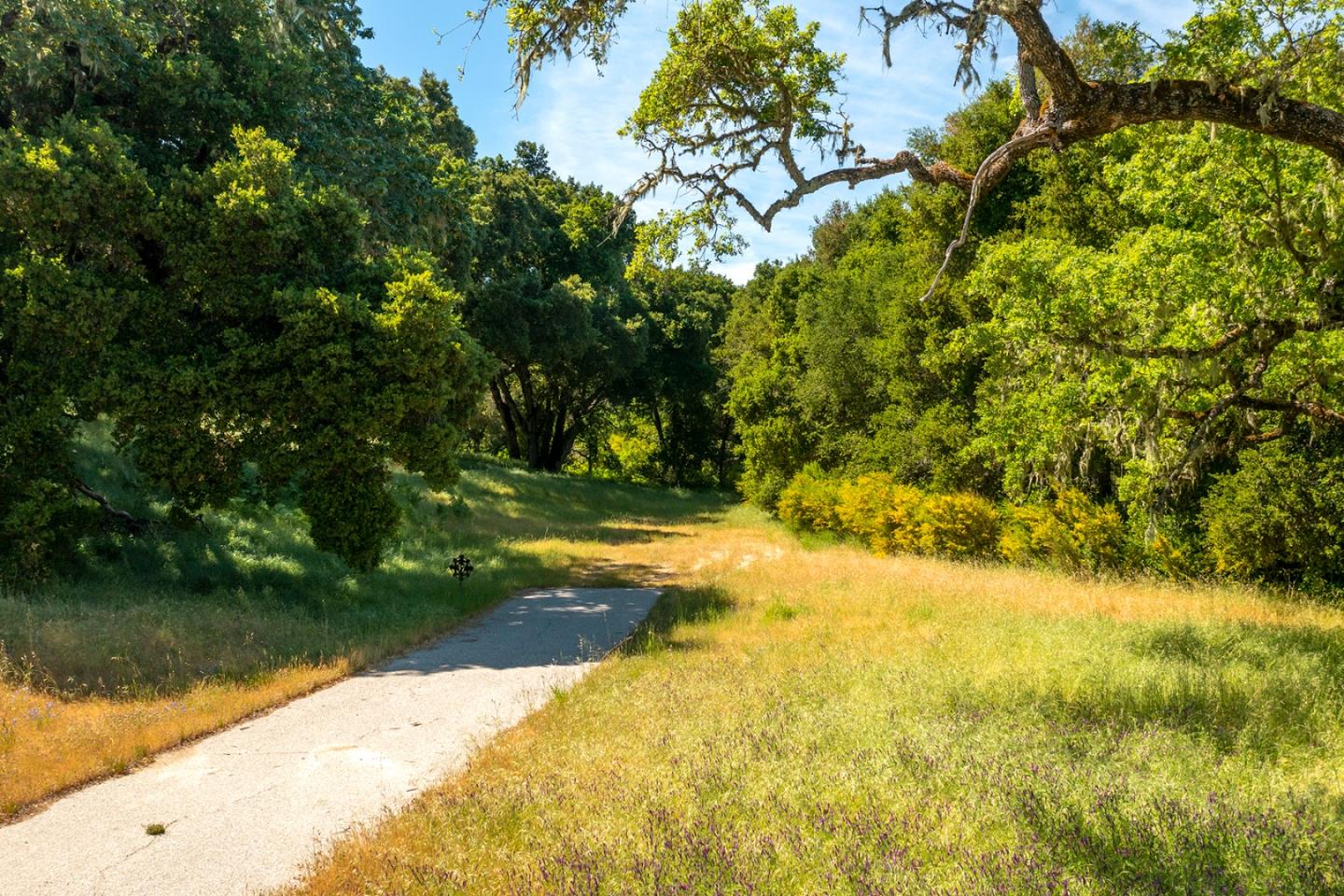 3 Rumsen Trace, CARMEL, California 93923, ,Lots And Land,For Sale,Rumsen Trace,40965175