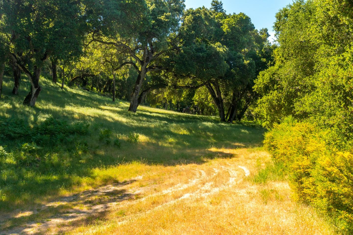 3 Rumsen Trace, CARMEL, California 93923, ,Lots And Land,For Sale,Rumsen Trace,40965175