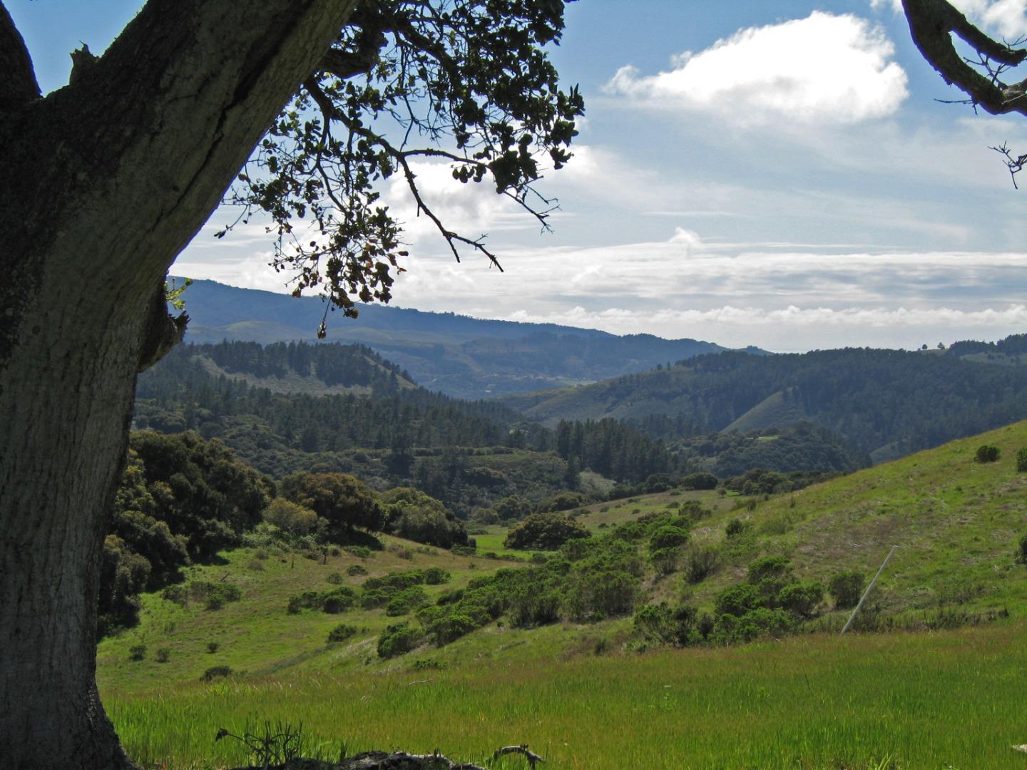 8125 Carina ( Lot 80), CARMEL, California 93923, ,Lots And Land,For Sale,Carina ( Lot 80),40965176