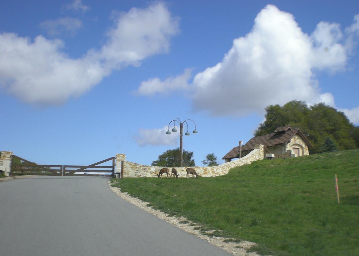 8125 Carina ( Lot 80), CARMEL, California 93923, ,Lots And Land,For Sale,Carina ( Lot 80),40965176