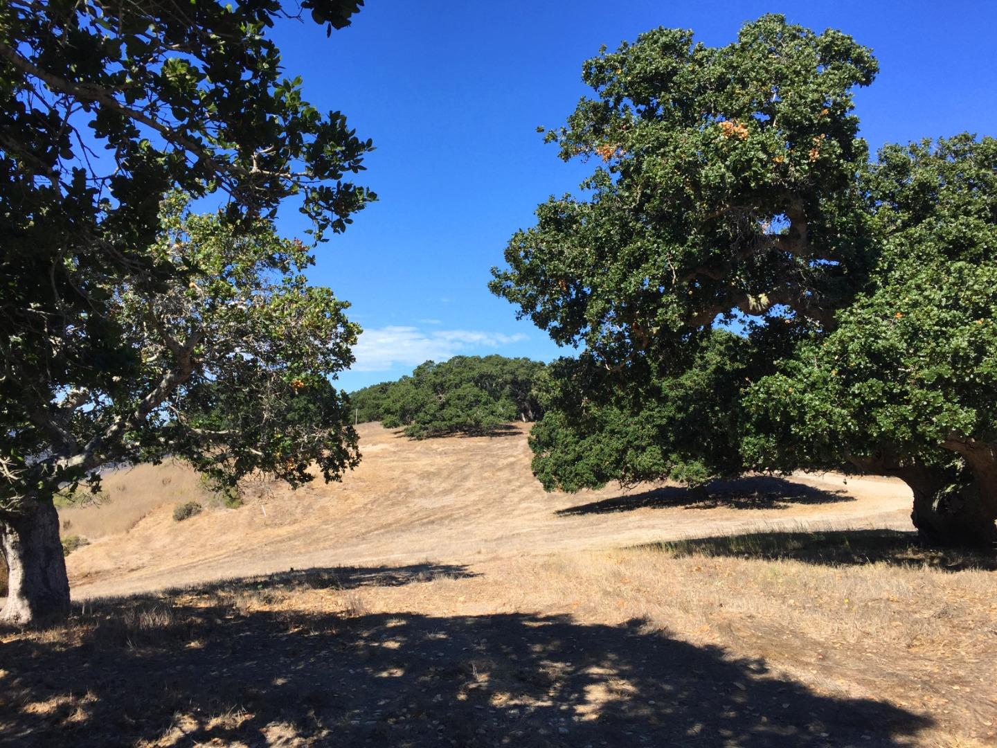 8125 Carina ( Lot 80), CARMEL, California 93923, ,Lots And Land,For Sale,Carina ( Lot 80),40965176