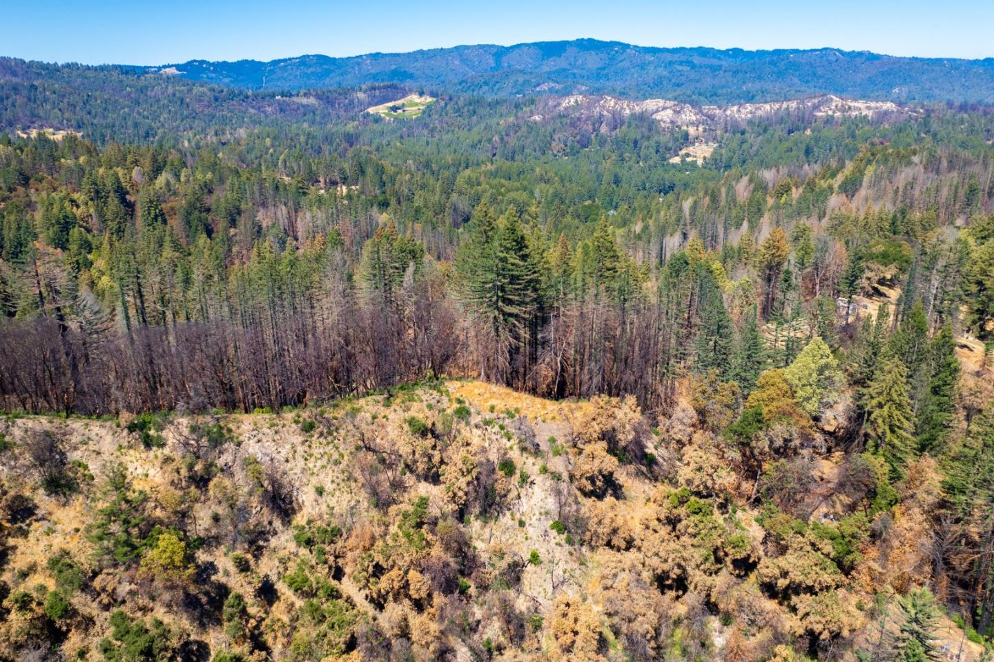 1640 Bloom Grade Road, BOULDER CREEK, California 95006, ,Lots And Land,For Sale,Bloom Grade Road,40965181