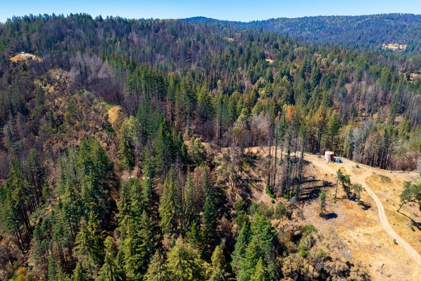 1640 Bloom Grade Road, BOULDER CREEK, California 95006, ,Lots And Land,For Sale,Bloom Grade Road,40965181