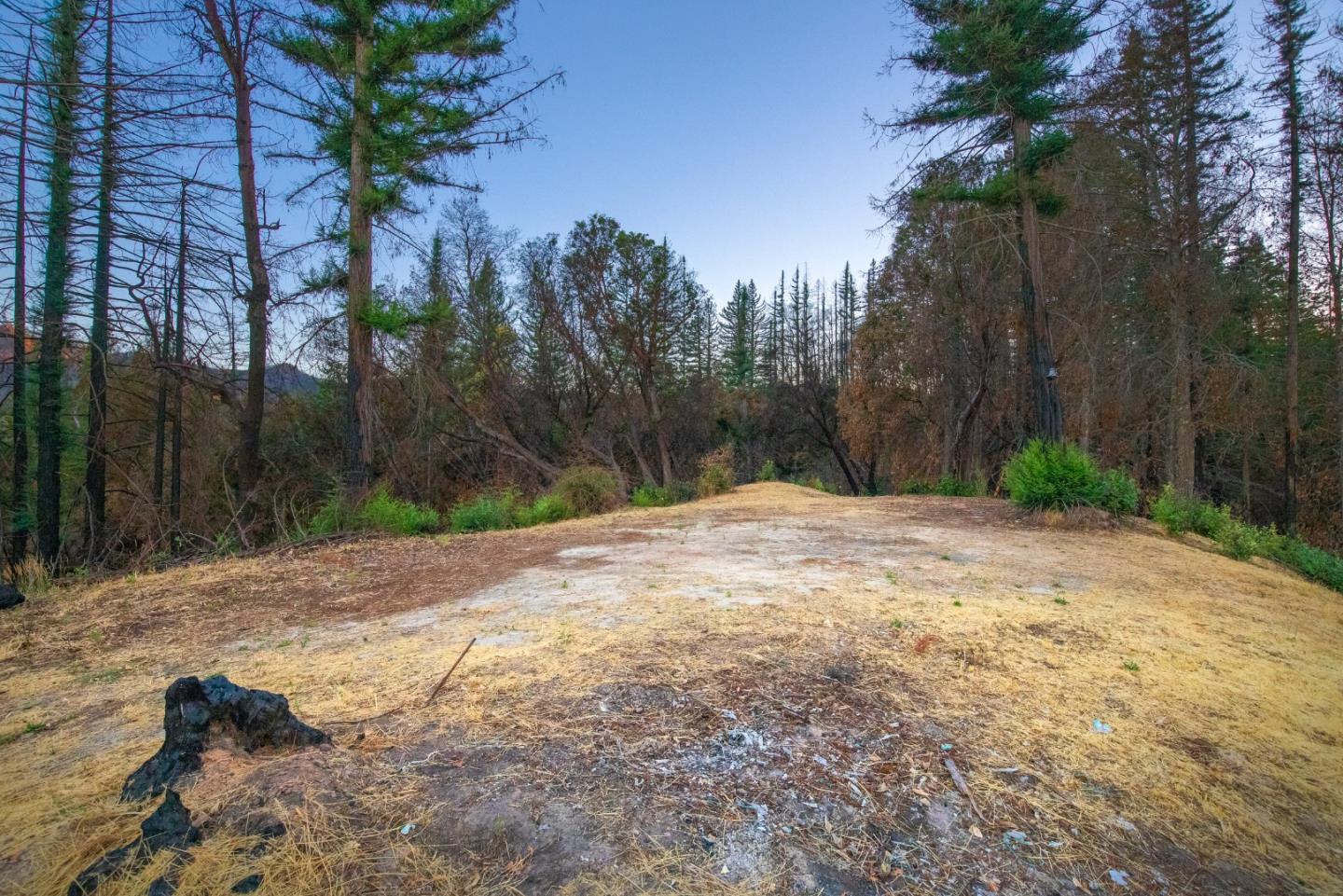 1640 Bloom Grade Road, BOULDER CREEK, California 95006, ,Lots And Land,For Sale,Bloom Grade Road,40965181