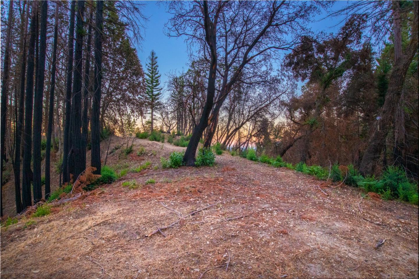 1640 Bloom Grade Road, BOULDER CREEK, California 95006, ,Lots And Land,For Sale,Bloom Grade Road,40965181