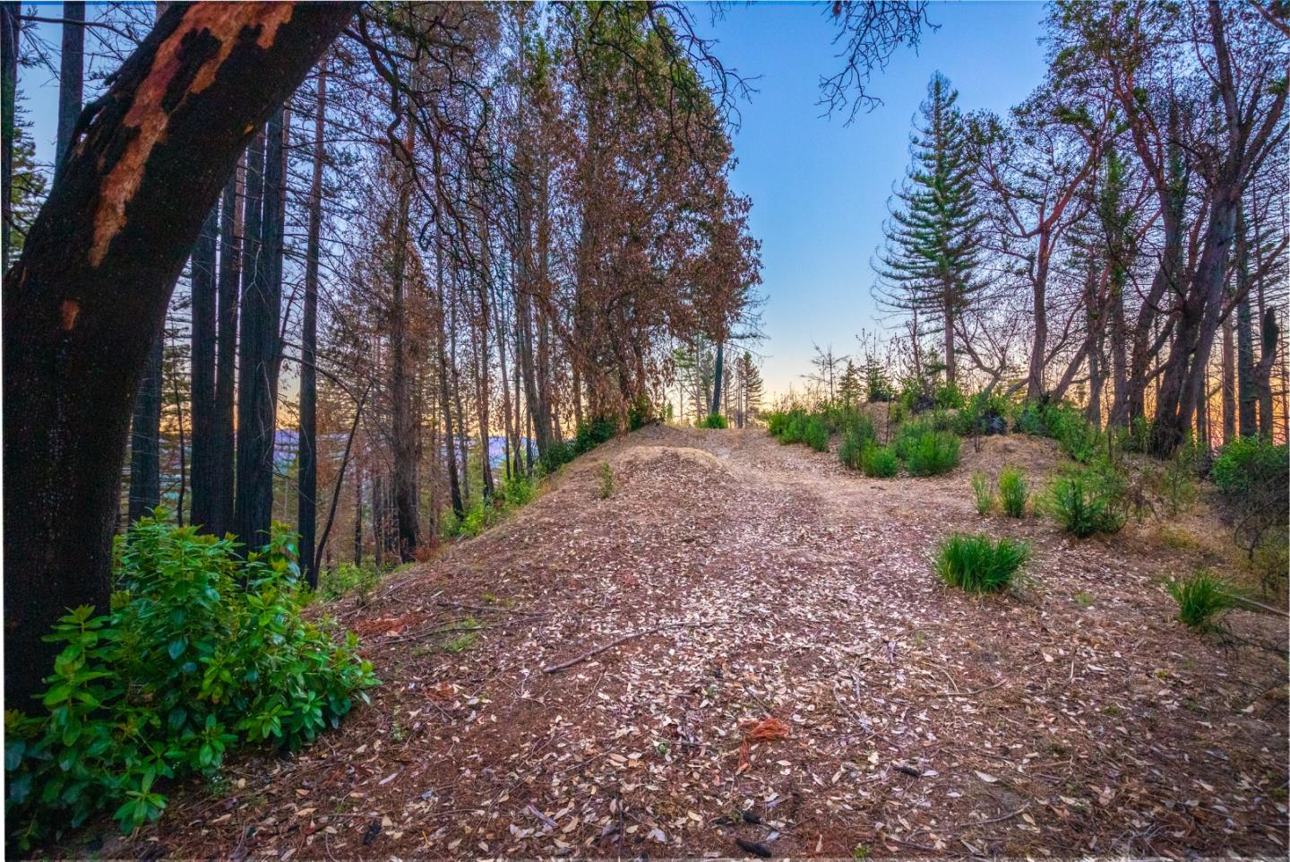 1640 Bloom Grade Road, BOULDER CREEK, California 95006, ,Lots And Land,For Sale,Bloom Grade Road,40965181