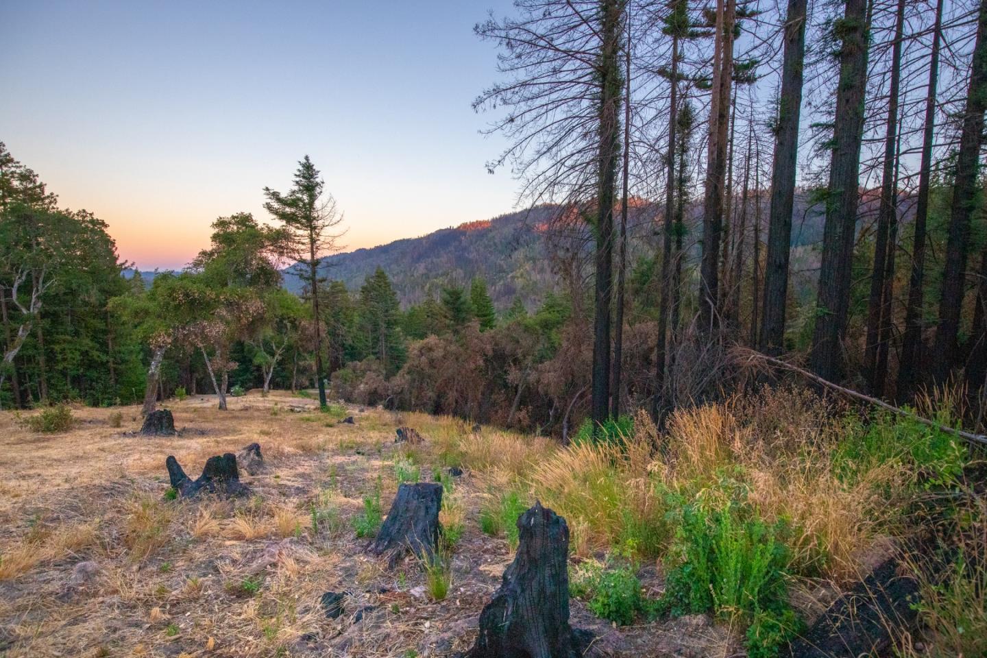 1640 Bloom Grade Road, BOULDER CREEK, California 95006, ,Lots And Land,For Sale,Bloom Grade Road,40965181
