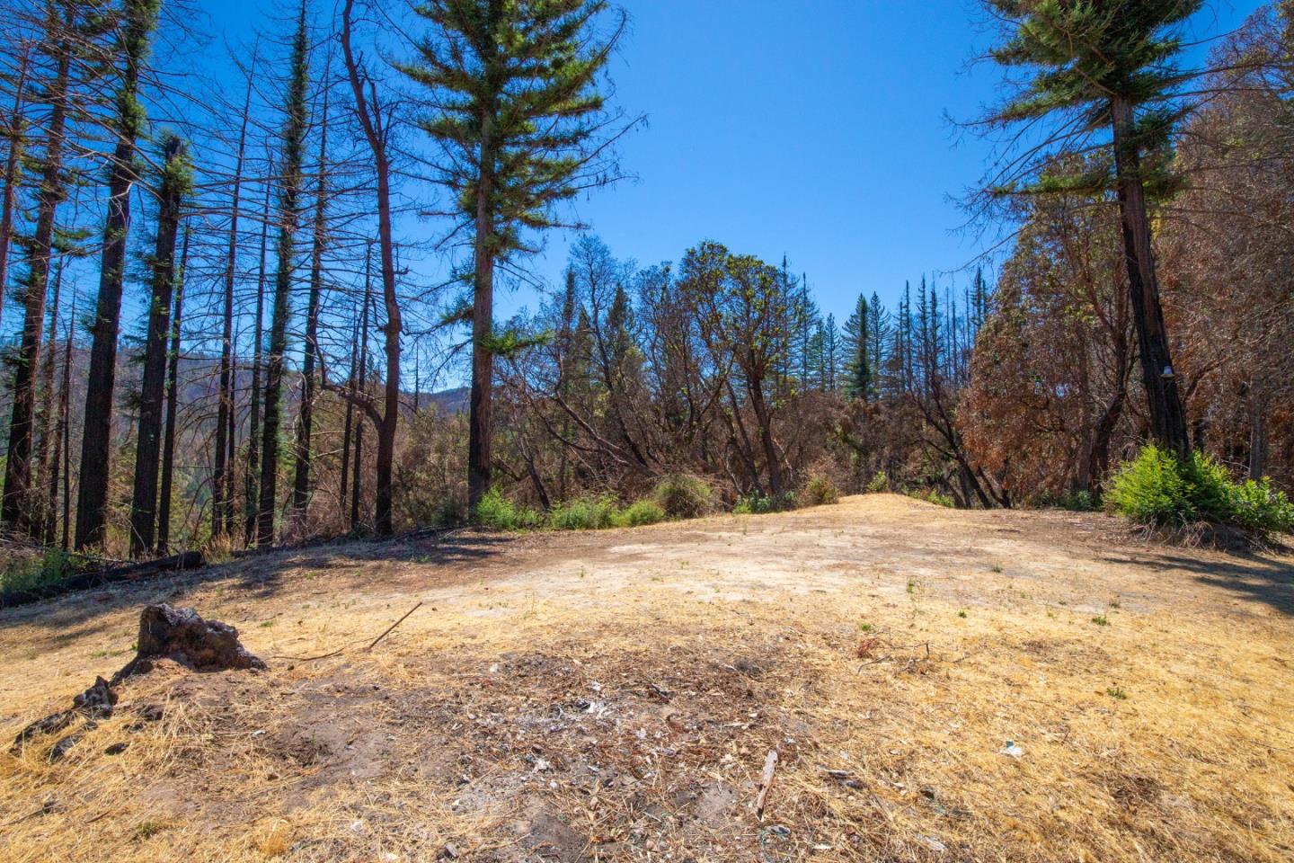 1640 Bloom Grade Road, BOULDER CREEK, California 95006, ,Lots And Land,For Sale,Bloom Grade Road,40965181