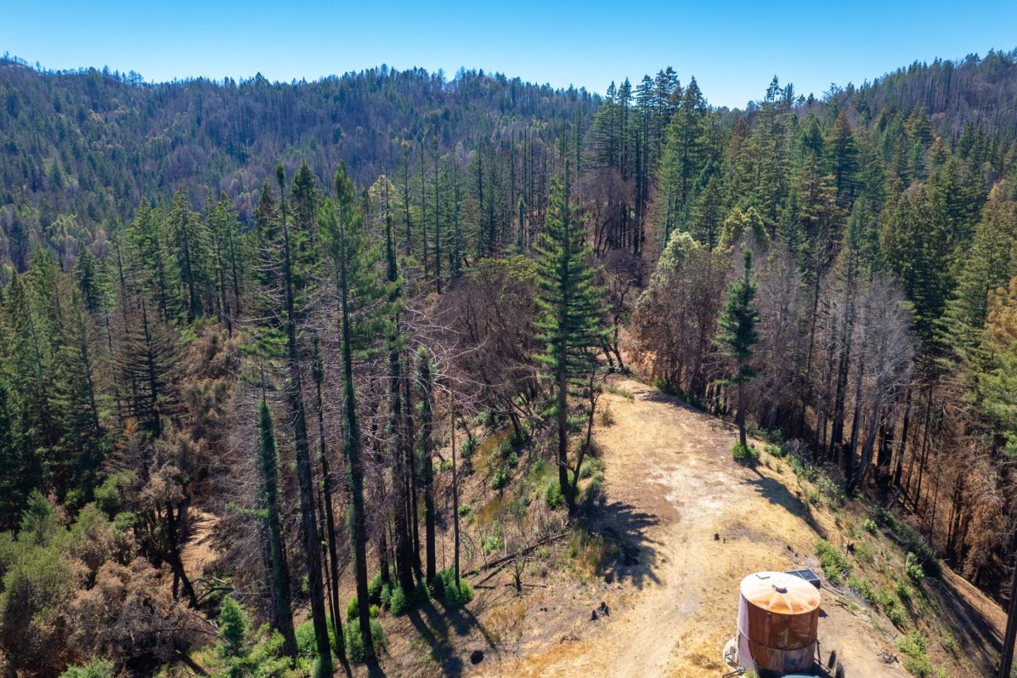1640 Bloom Grade Road, BOULDER CREEK, California 95006, ,Lots And Land,For Sale,Bloom Grade Road,40965181
