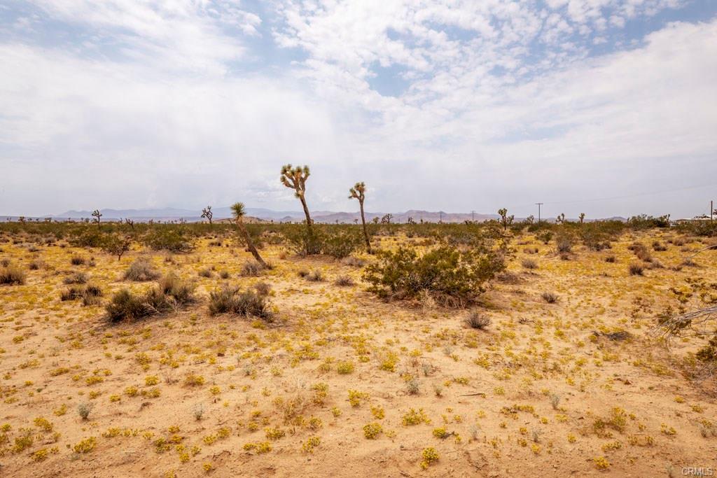 58911 Reche Road, OTHER - SEE REMARKS, California 92285, ,Lots And Land,For Sale,Reche Road,40965182