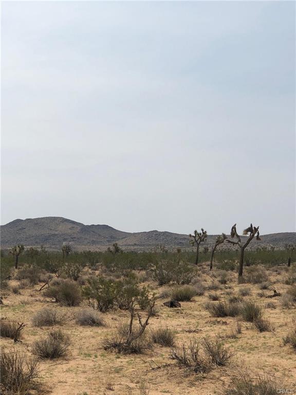 58911 Reche Road, OTHER - SEE REMARKS, California 92285, ,Lots And Land,For Sale,Reche Road,40965182