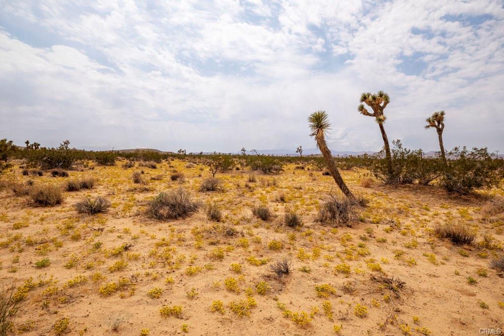 58911 Reche Road, OTHER - SEE REMARKS, California 92285, ,Lots And Land,For Sale,Reche Road,40965182