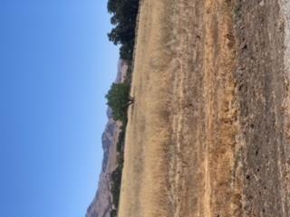 0 Magladry Road, HOLLISTER, California 95023, ,Lots And Land,For Sale,Magladry Road,40965190