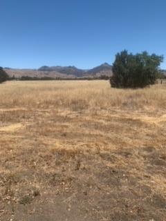 0 Magladry Road, HOLLISTER, California 95023, ,Lots And Land,For Sale,Magladry Road,40965190