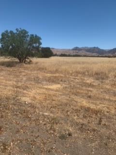 0 Magladry Road, HOLLISTER, California 95023, ,Lots And Land,For Sale,Magladry Road,40965190