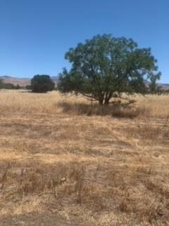 0 Magladry Road, HOLLISTER, California 95023, ,Lots And Land,For Sale,Magladry Road,40965190