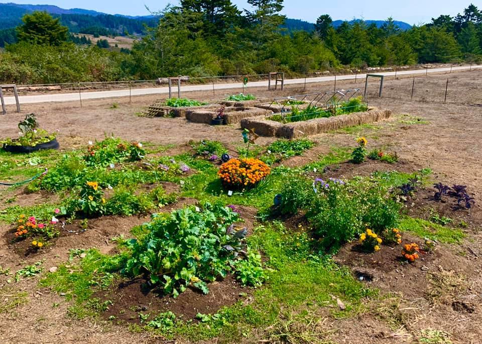 000 Pigeon Point Road, PESCADERO, California 94060, ,Lots And Land,For Sale,Pigeon Point Road,40965207
