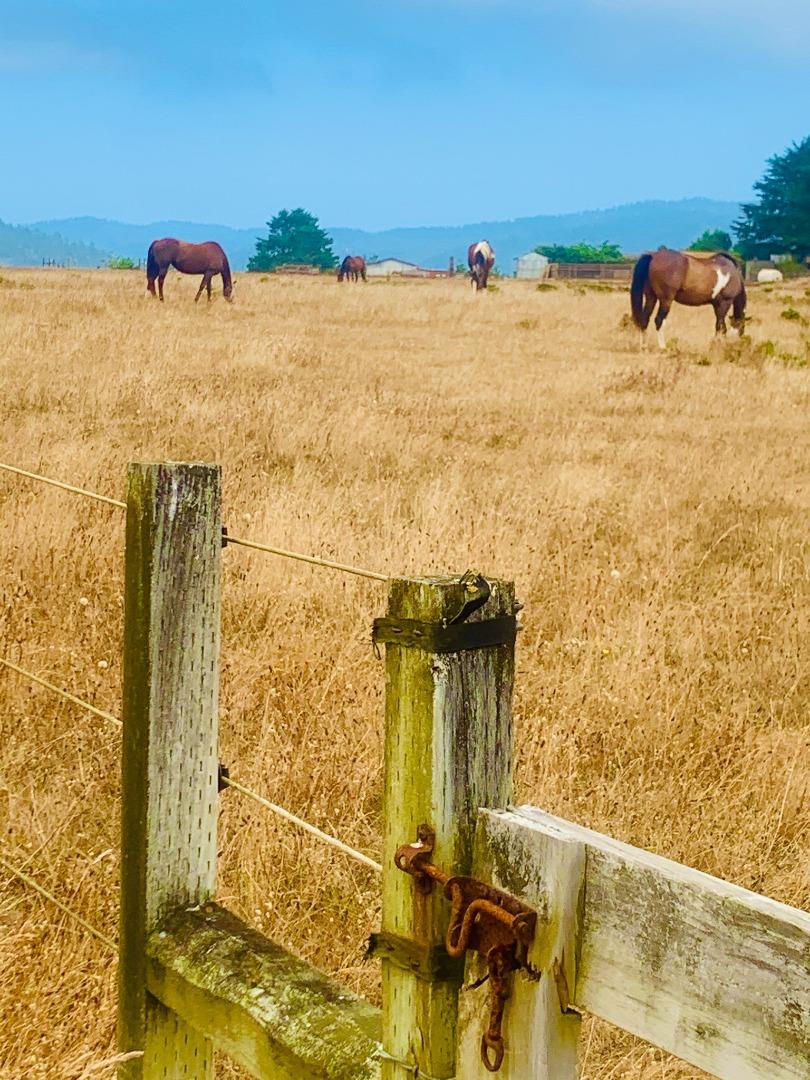 000 Pigeon Point Road, PESCADERO, California 94060, ,Lots And Land,For Sale,Pigeon Point Road,40965207