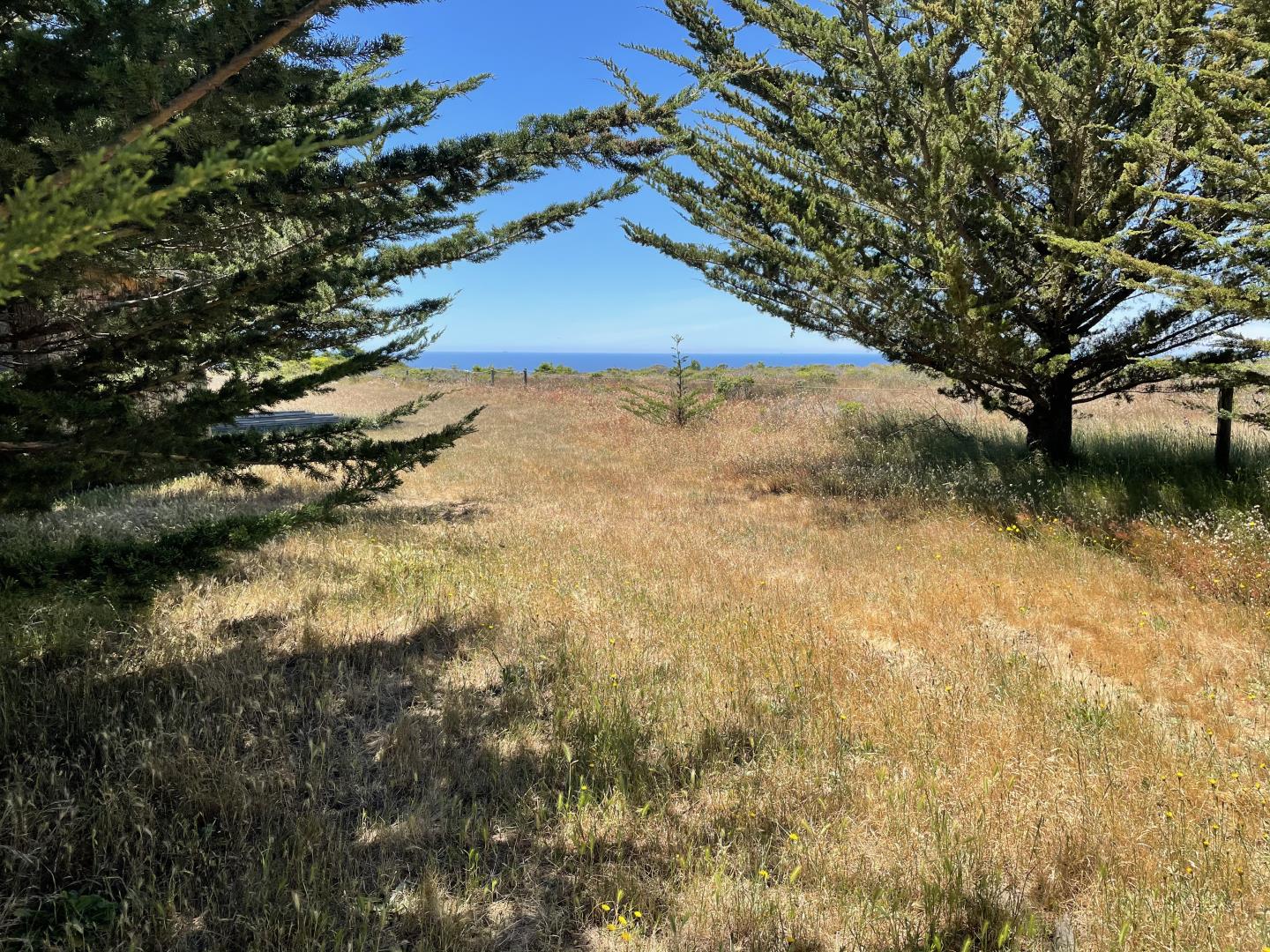 000 Pigeon Point Road, PESCADERO, California 94060, ,Lots And Land,For Sale,Pigeon Point Road,40965207
