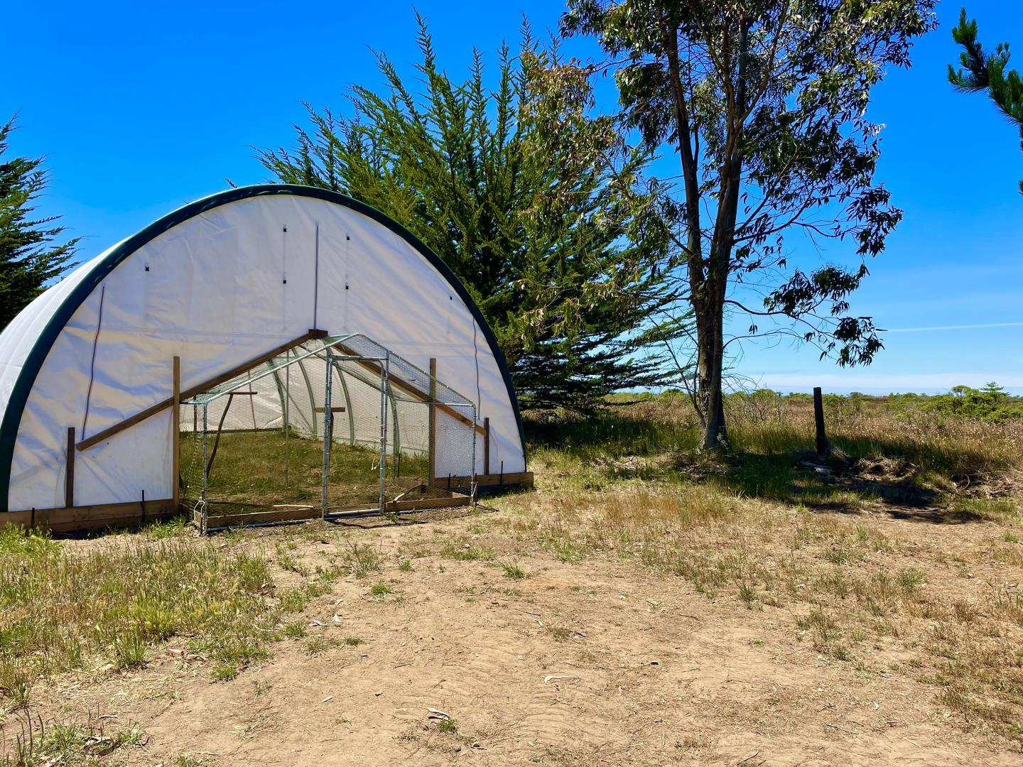 000 Pigeon Point Road, PESCADERO, California 94060, ,Lots And Land,For Sale,Pigeon Point Road,40965207