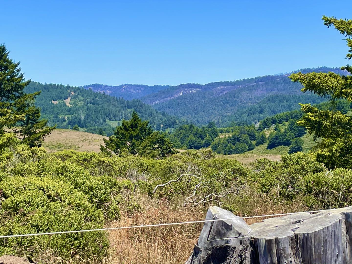 000 Pigeon Point Road, PESCADERO, California 94060, ,Lots And Land,For Sale,Pigeon Point Road,40965207