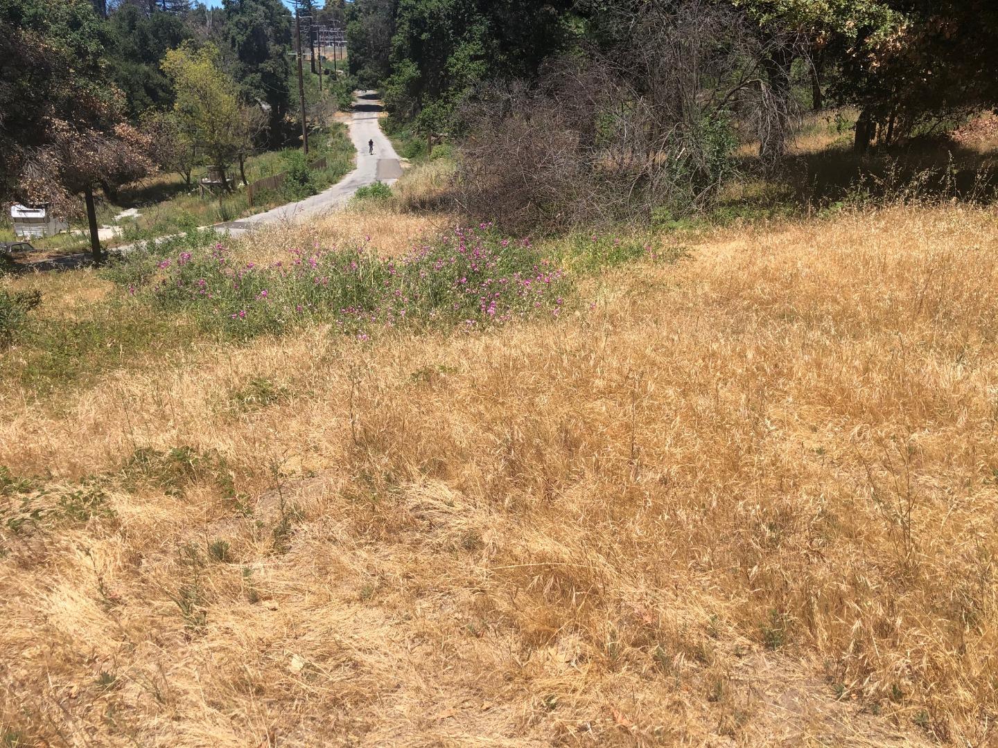 0 Vick Drive, SANTA CRUZ, California 95060, ,Lots And Land,For Sale,Vick Drive,40965220