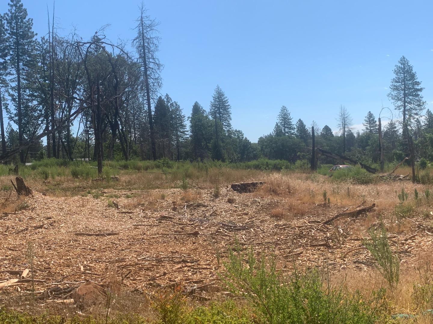 1028 Maple Park Drive, PARADISE, California 95969, ,Lots And Land,For Sale,Maple Park Drive,40965224