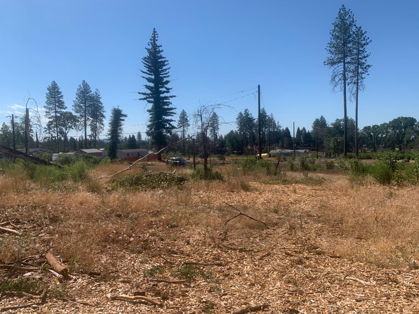 1028 Maple Park Drive, PARADISE, California 95969, ,Lots And Land,For Sale,Maple Park Drive,40965224