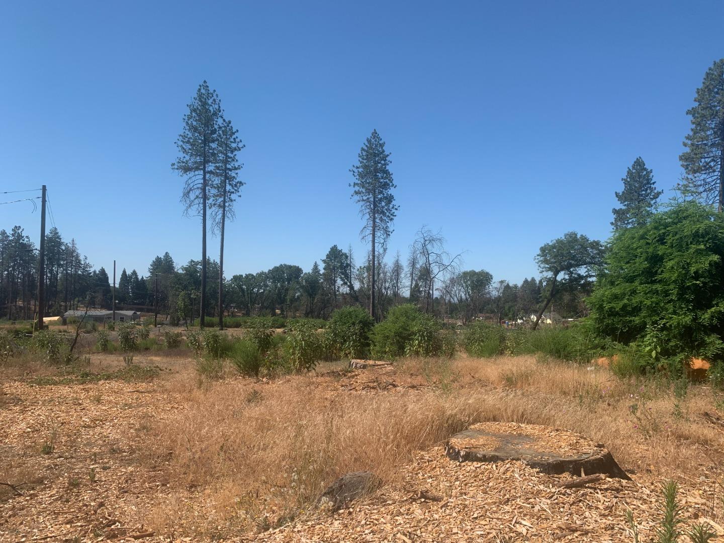 1028 Maple Park Drive, PARADISE, California 95969, ,Lots And Land,For Sale,Maple Park Drive,40965224