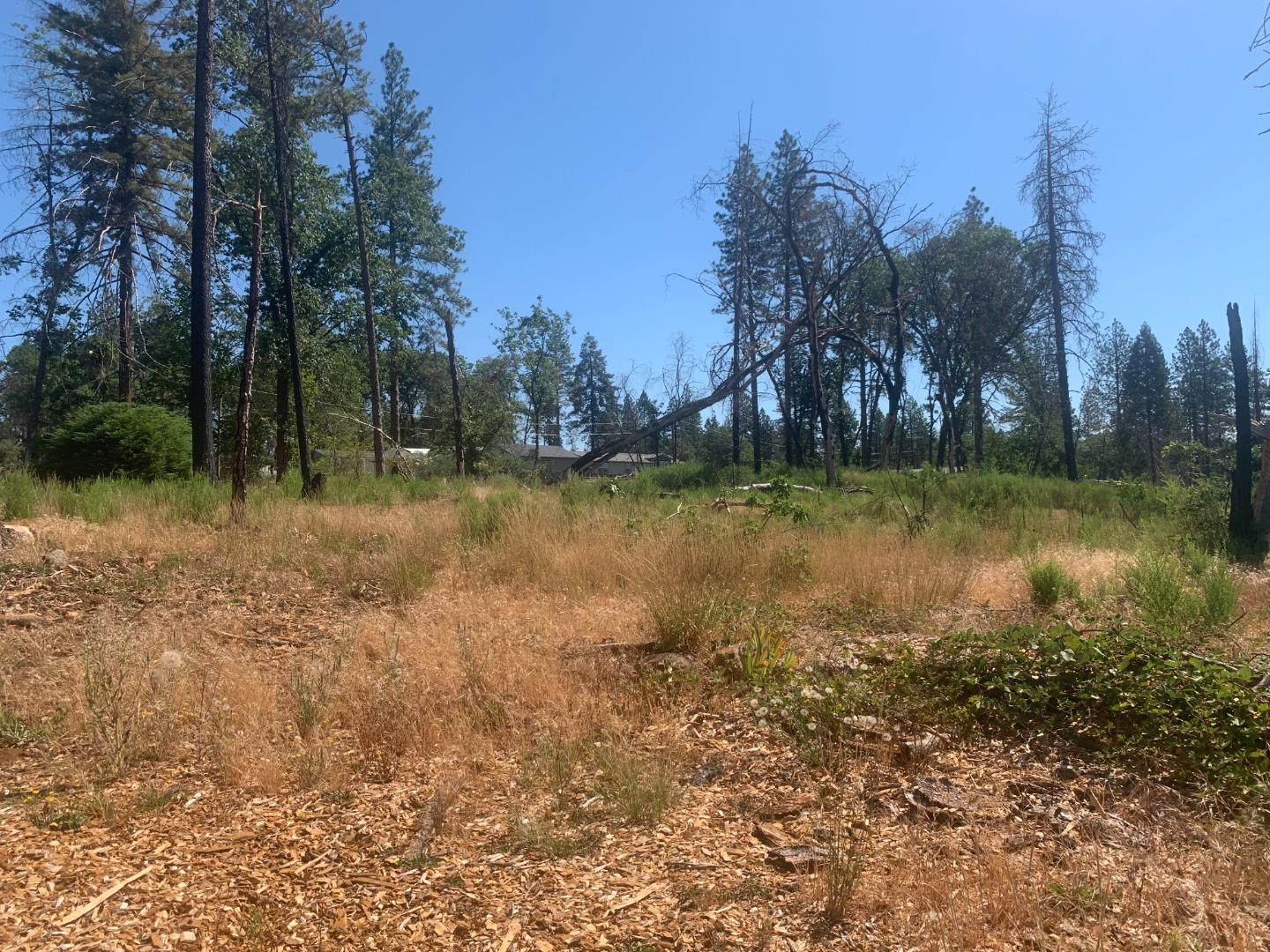 1028 Maple Park Drive, PARADISE, California 95969, ,Lots And Land,For Sale,Maple Park Drive,40965224