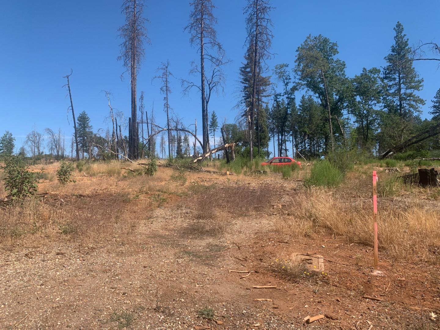 1028 Maple Park Drive, PARADISE, California 95969, ,Lots And Land,For Sale,Maple Park Drive,40965224