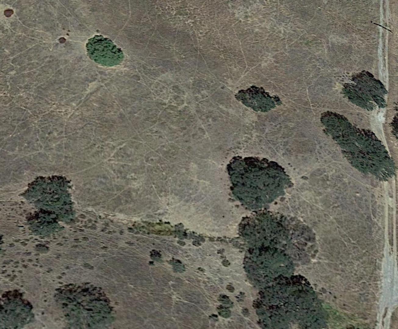 Lot 61 Panoche Road, PAICINES, California 95043, ,Lots And Land,For Sale,Panoche Road,40965228
