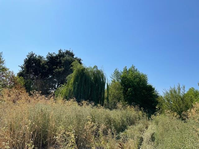 0 Santa Teresa Boulevard, MORGAN HILL, California 95037, ,Lots And Land,For Sale,Santa Teresa Boulevard,40965254