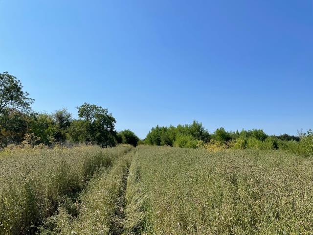 0 Santa Teresa Boulevard, MORGAN HILL, California 95037, ,Lots And Land,For Sale,Santa Teresa Boulevard,40965254
