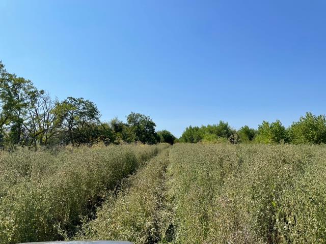 0 Santa Teresa Boulevard, MORGAN HILL, California 95037, ,Lots And Land,For Sale,Santa Teresa Boulevard,40965254