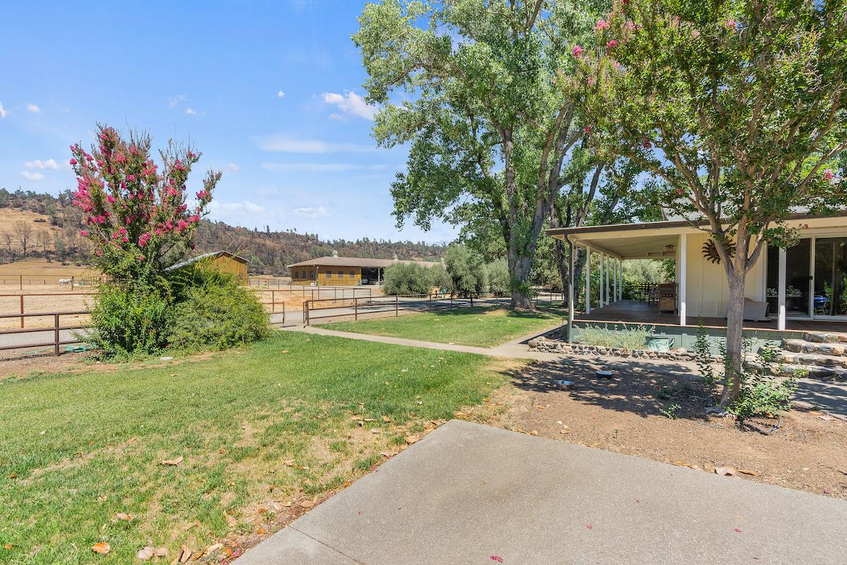 1500 Snell Valley Road, POPE VALLEY, California 94567, ,Comm Lots And Land,For Sale,Snell Valley Road,40965263