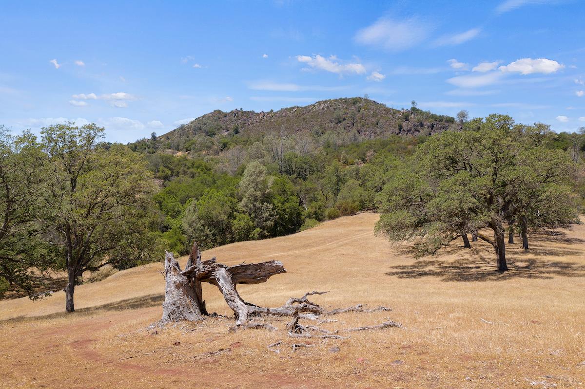 1500 Snell Valley Road, POPE VALLEY, California 94567, ,Comm Lots And Land,For Sale,Snell Valley Road,40965263
