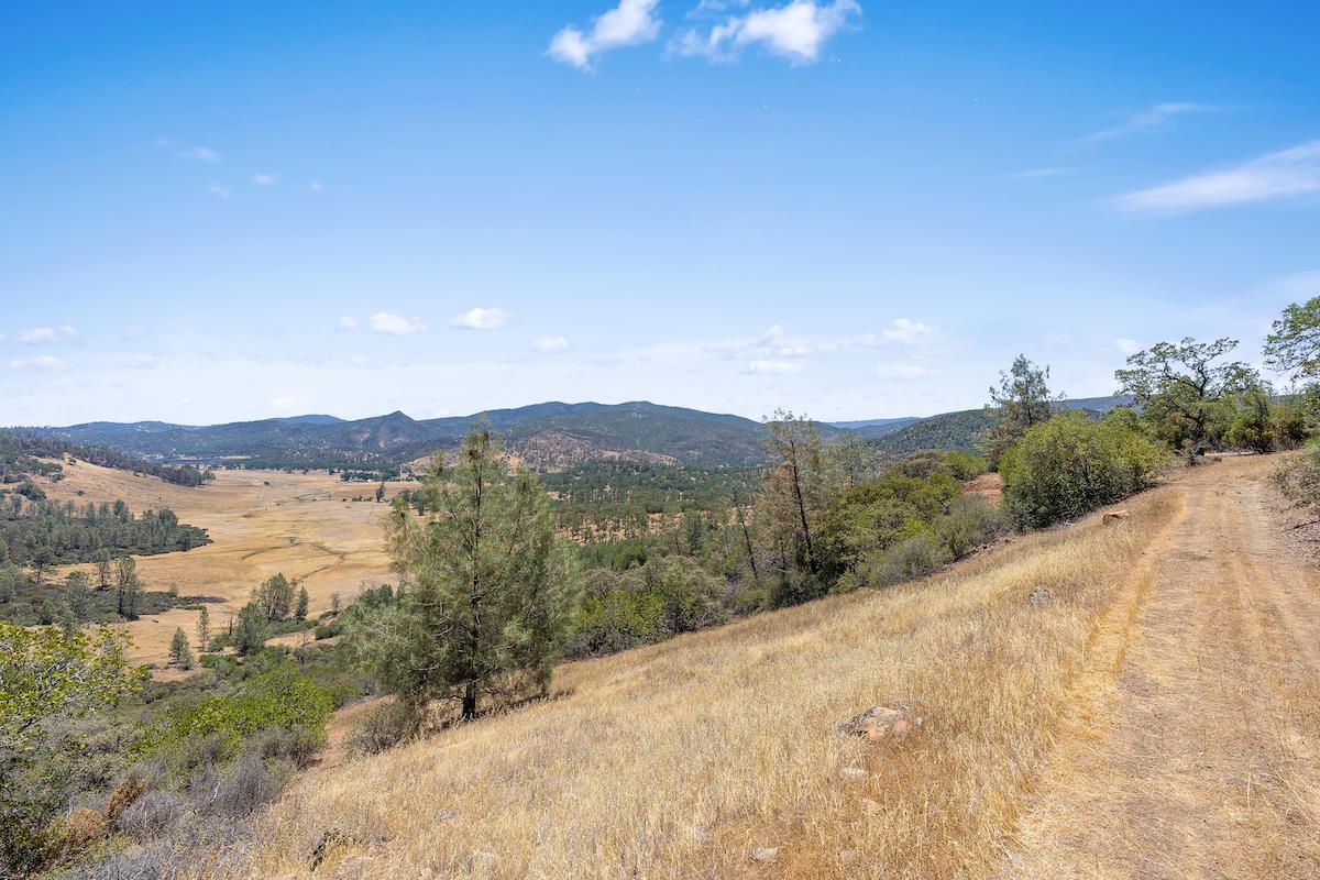1500 Snell Valley Road, POPE VALLEY, California 94567, ,Comm Lots And Land,For Sale,Snell Valley Road,40965263
