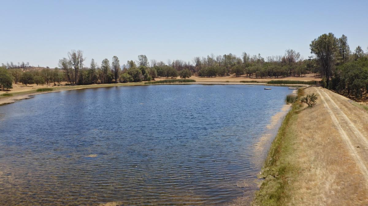 1500 Snell Valley Road, POPE VALLEY, California 94567, ,Comm Lots And Land,For Sale,Snell Valley Road,40965263