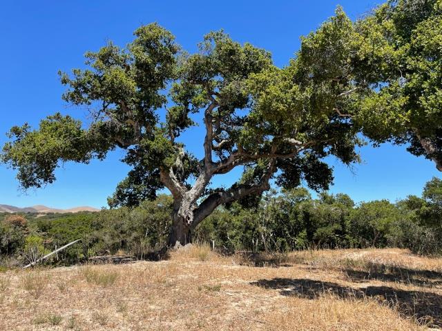 8883 Erins Ridge Road, SALINAS, California 93907, ,Lots And Land,For Sale,Erins Ridge Road,40965262
