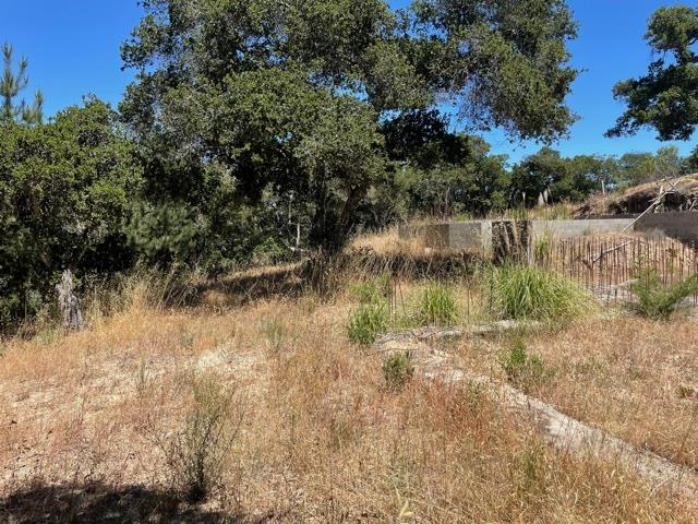 8883 Erins Ridge Road, SALINAS, California 93907, ,Lots And Land,For Sale,Erins Ridge Road,40965262