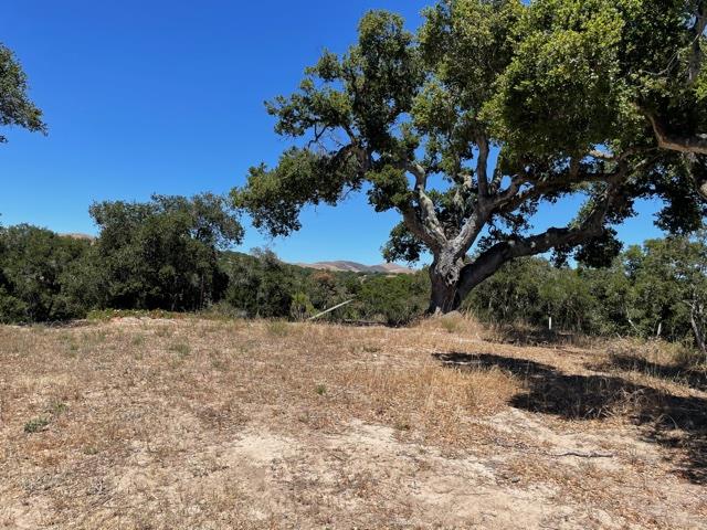 8883 Erins Ridge Road, SALINAS, California 93907, ,Lots And Land,For Sale,Erins Ridge Road,40965262