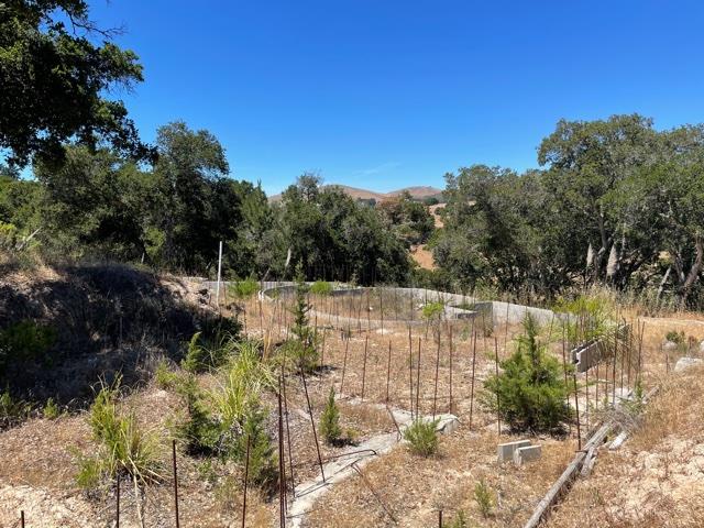 8883 Erins Ridge Road, SALINAS, California 93907, ,Lots And Land,For Sale,Erins Ridge Road,40965262