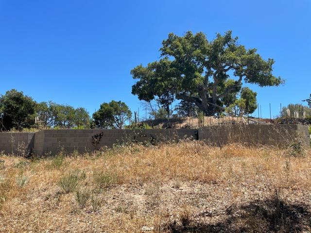 8883 Erins Ridge Road, SALINAS, California 93907, ,Lots And Land,For Sale,Erins Ridge Road,40965262