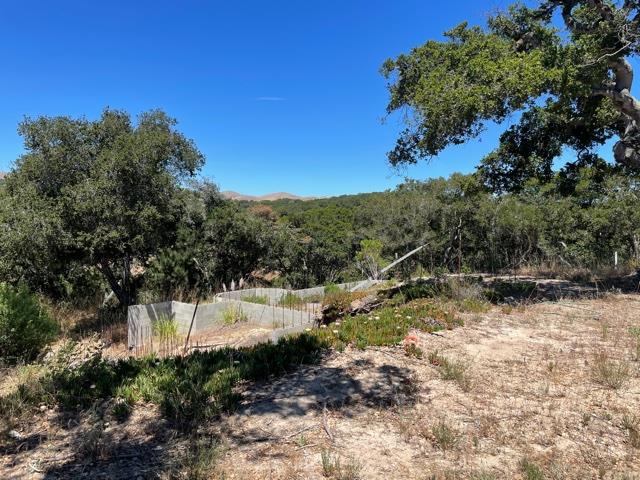 8883 Erins Ridge Road, SALINAS, California 93907, ,Lots And Land,For Sale,Erins Ridge Road,40965262