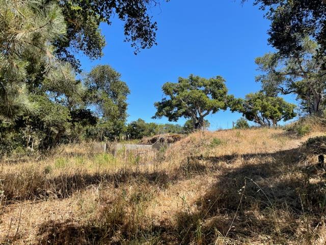 8883 Erins Ridge Road, SALINAS, California 93907, ,Lots And Land,For Sale,Erins Ridge Road,40965262