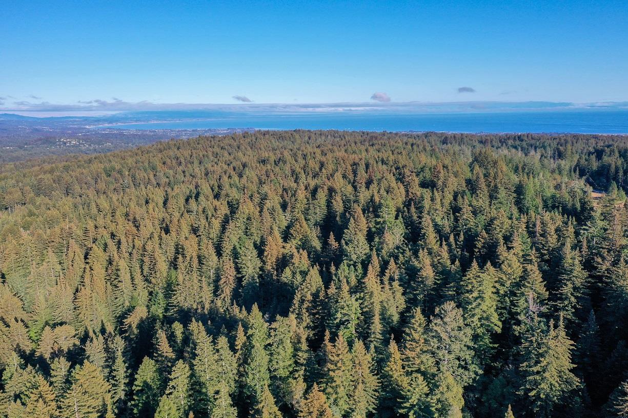 0000 Empire Grade, FELTON, California 95018, ,Lots And Land,For Sale,Empire Grade,40965274