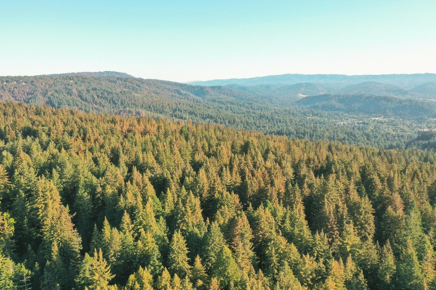 0000 Empire Grade, FELTON, California 95018, ,Lots And Land,For Sale,Empire Grade,40965274