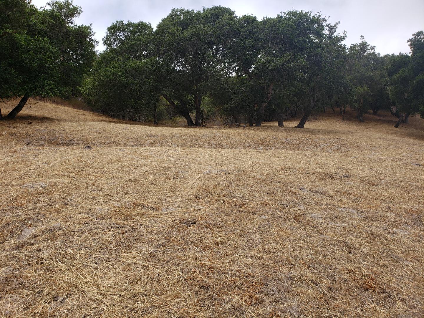 105 El Torneo Court, MONTEREY, California 93940, ,Lots And Land,For Sale,El Torneo Court,40965279