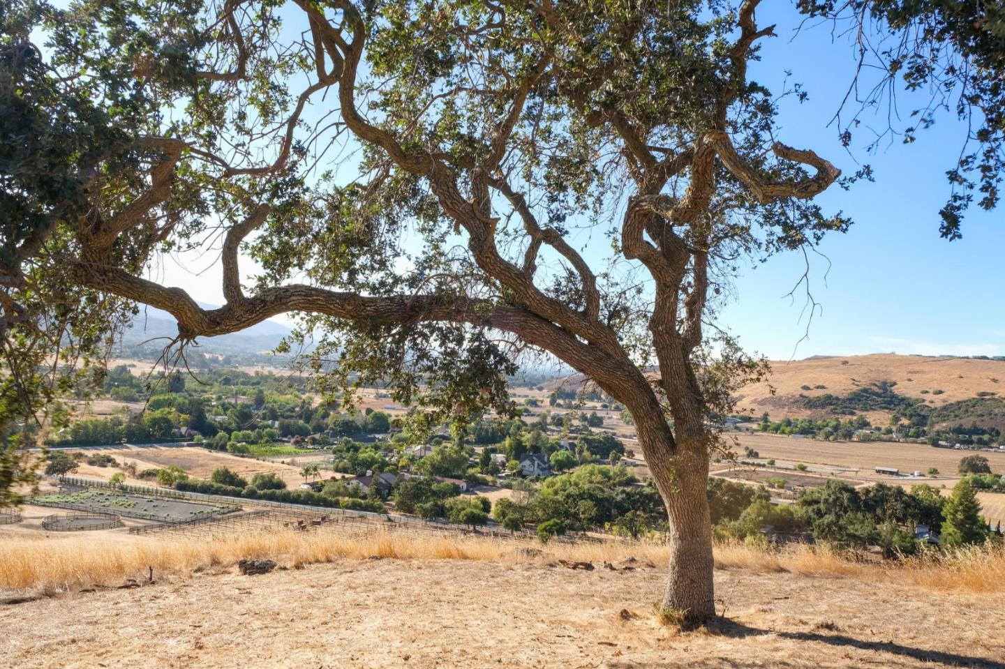 21690-005 Shillingsburg Avenue, SAN JOSE, California 95120, ,Lots And Land,For Sale,Shillingsburg Avenue,40965298